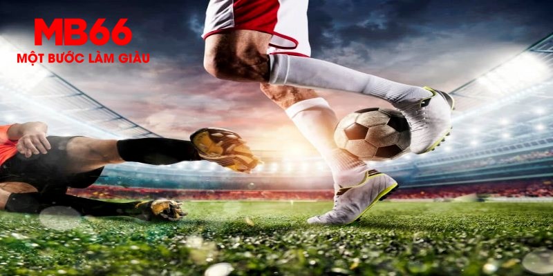 nohu 78 trực tiếp đá gà thomo