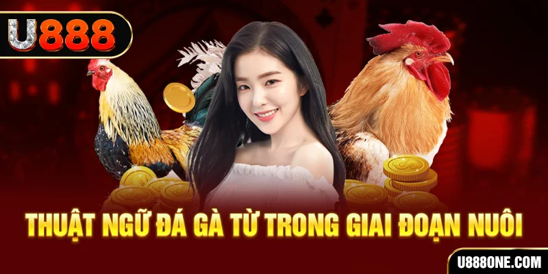 xổ số miền bắc 90 ngày