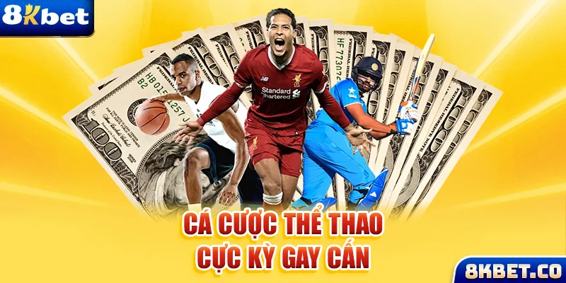 nohu 78 xem đá gà trực tiếp